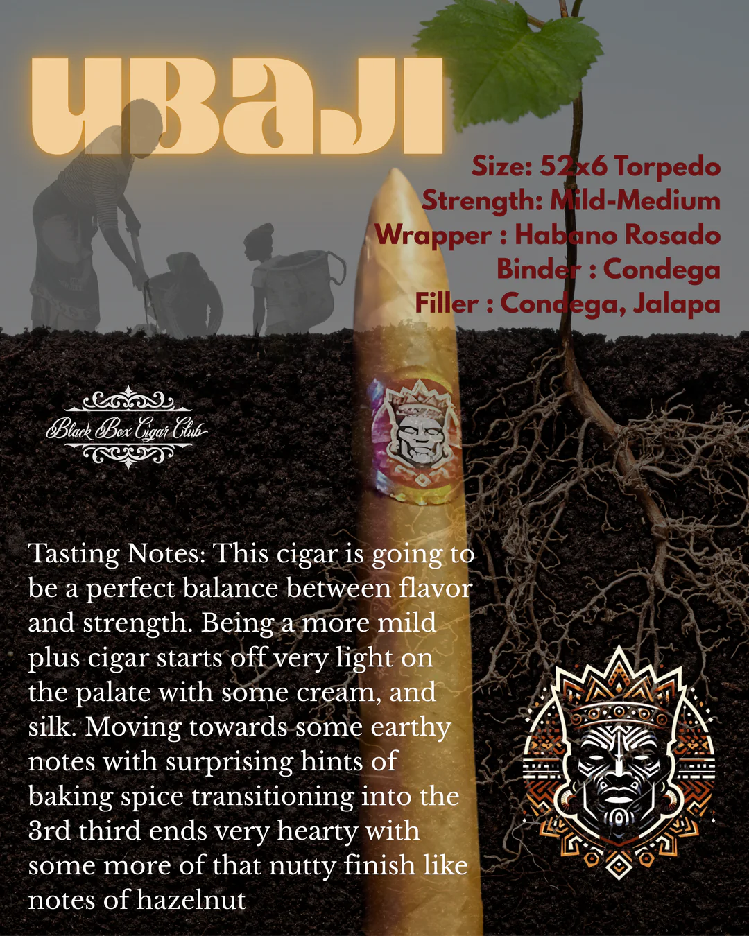 Ubaji - Tribal Trilogy Cigars